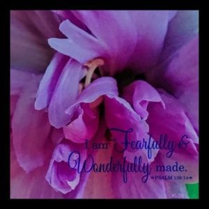 Gladiolus with Scripture