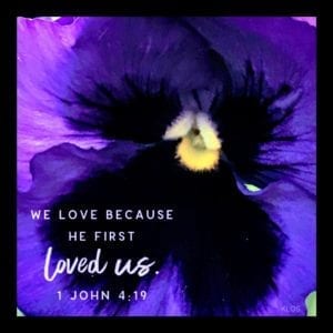 Purple Pansy with Scripture