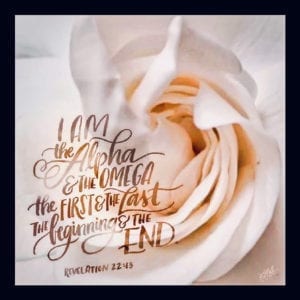 Gardenia with Scripture