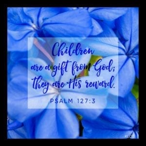 Blue Imperial Plumbago with Scripture