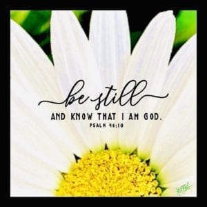 White Daisy with Scripture