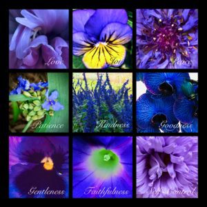 Fruits of the Spirit, Blue Floral Collage