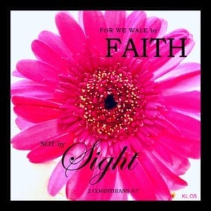 Pink Gerber Daisy with Scripture