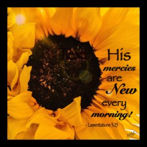 Sunflower Sun Kissed with Scripture