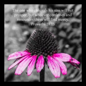 Pink Coneflower with Scripture