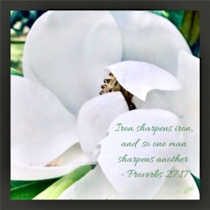 Magnolia with Scripture