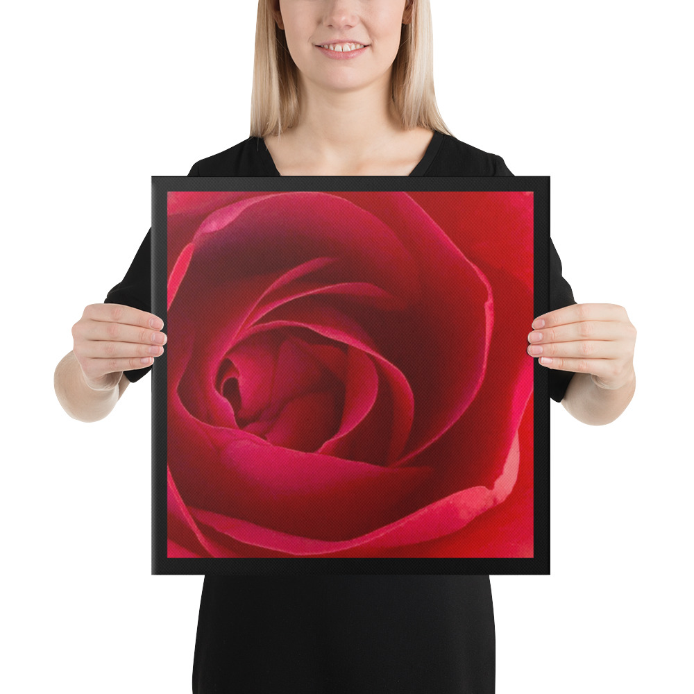 Canvas - Image 2