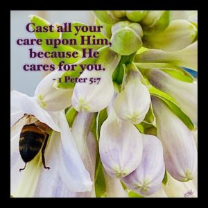 Hosta Bud & Bee with Scripture