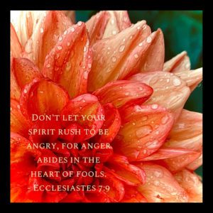 CHRYSANTHEMUM with Scripture
