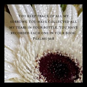 WHITE GERBER DAISY WITH SCRIPTURE