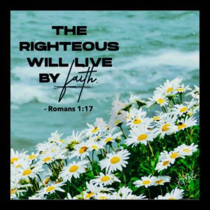 Daisies at Lake Erie w/ Scripture
