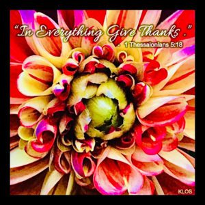 Piñata Dahlia with Scripture