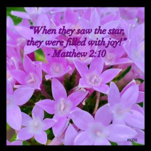 EGYPTIAN STAR CLUSTER with Scripture
