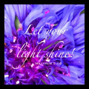Cornflower with Scripture
