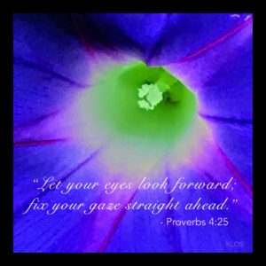 BLUE PANSY w/ SCRIPTURE