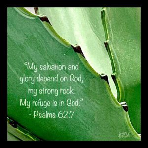 AGAVE w/ SCRIPTURE