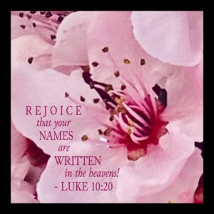 PINK PLUM BLOSSOM w/ Scripture