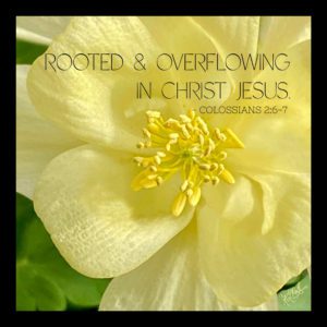 AQUILEGIA 'Kirigami Yellow' w/ Scripture